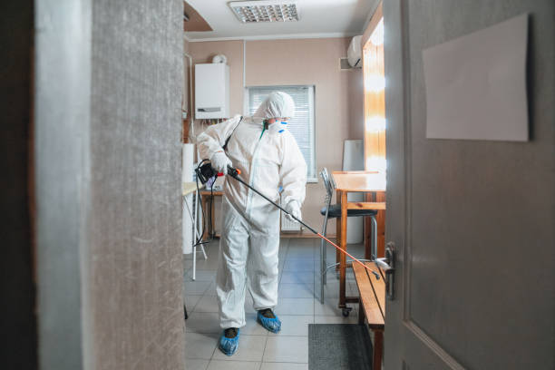 Best Black Mold Removal  in Long Valley, NJ